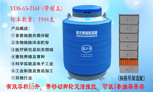 YDS-65-216F液氮罐
